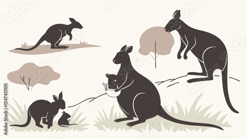 Detailed flat illustration of a kangaroo family, showcasing adult kangaroos, a mother with a joey in her pouch, and young kangaroos playing outdoors.