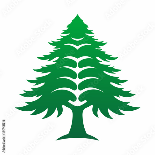 Green evergreen tree isolated on white background