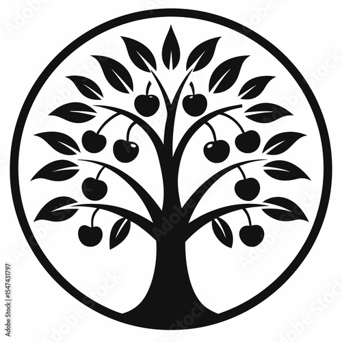 Black cherry tree with leaves isolated on white background