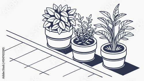 Three diverse potted plants in a minimalist monochrome line art illustration, neatly arranged on a tiled surface with cast shadows, ideal for home garden and interior design.