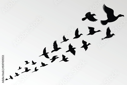 Ascending Flock Silhouetted Birds in Flight Against a Bright White Background Illustration