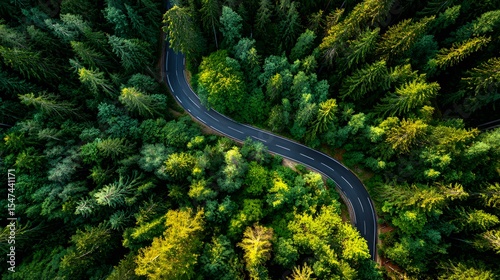 Aerial Top-Down View of Winding Asphalt Road Through Dense Green Forest - Nature Landscape