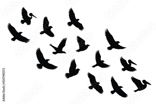 Silhouettes of Birds A Flock of Pelicans and Other Birds Flying in Formation