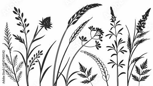 Black silhouettes of diverse wild grasses, meadow plants, and field herbs, a minimalist botanical vector illustration perfect for natural and organic design projects.