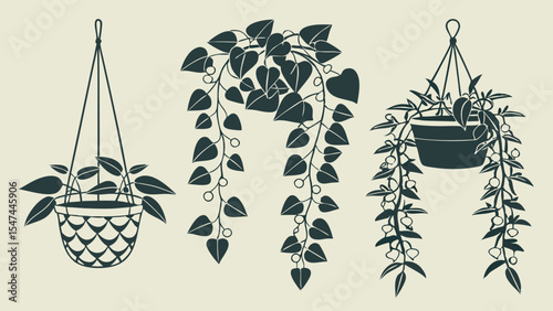 Monochrome minimalist vector art of three distinct hanging houseplants with trailing vines, potted plants, and a macrame hanger, for home decor.