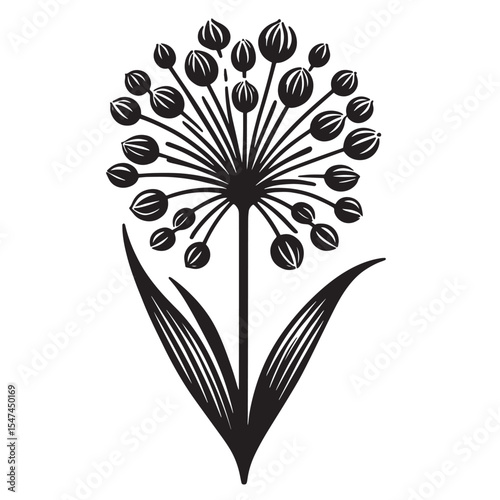 Allium Flower SVG