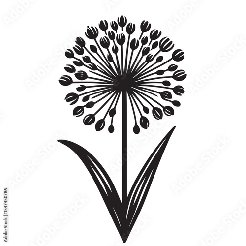 Allium Flower SVG