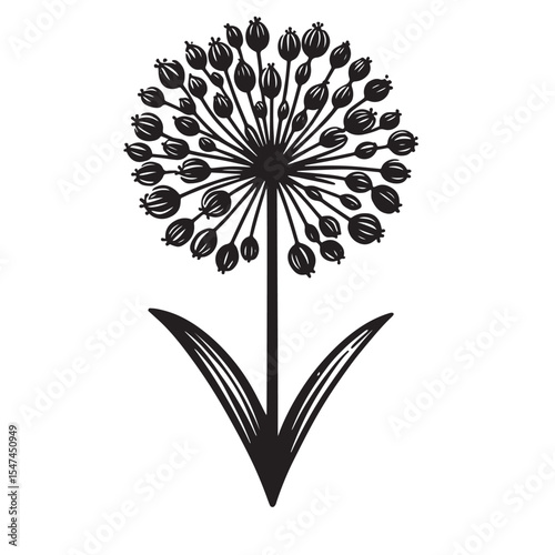Allium Flower SVG