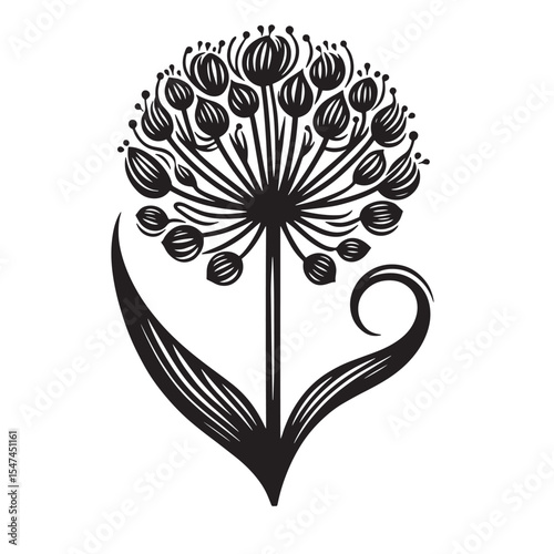 Allium Flower SVG