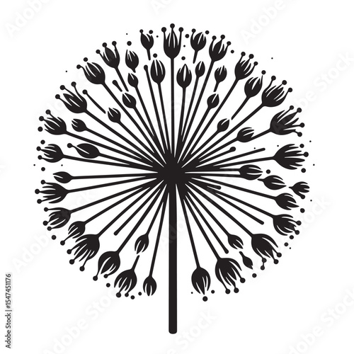 Allium Flower SVG