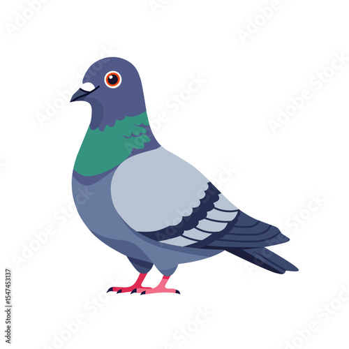 vector illustration of a pigeon standing on the ground. Detailed cartoon bird with grey, blue, and green feathers. Perfect for urban, nature, and animal themes