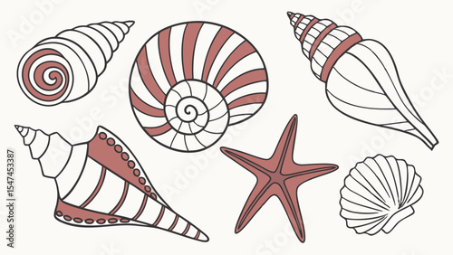 Diverse vector line art illustration of seashells and a starfish. Hand-drawn marine life outlines with subtle brown accents on a clean white background.