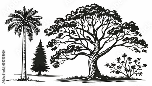 Highly detailed black and white hand drawn tree collection featuring a tall palm, a conifer, a large deciduous tree, and a flowering bush, nature botanical sketch art.