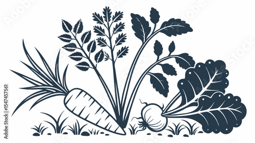 Elegant black and white illustration of a bountiful garden harvest. Features fresh organic carrots, radishes, beets, and leafy green vegetables in a vintage art style.