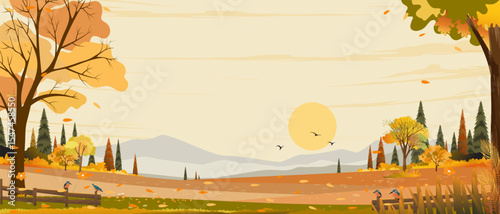 Autumn landscape with forest tree on white background,Cartoon Scene Fall Season Mountain,Meadow,Orange Foliage,Vector nature with grass field,maple tree,farm land in countryside