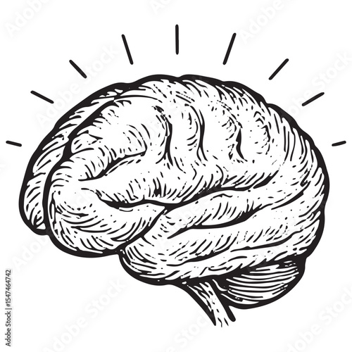 Black and white hand-drawn brain, representing mental clarity, focus, and wellness in a hand-drawn mental health illustration
