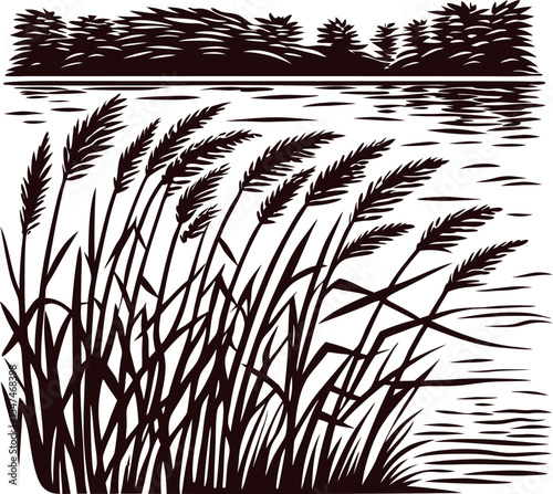 Reed grass with detailed leaves near calm lake water and forest trees reflection, monochrome engraved drawing