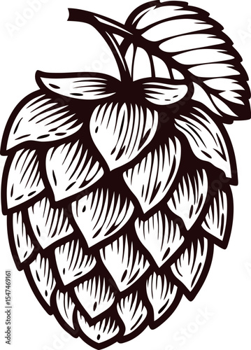 Hand drawn hop cone with leaf in vintage engraving isolated on white background illustration