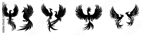 Modern illustration of abstract phoenix silhouettes in black and white isolated on a white background