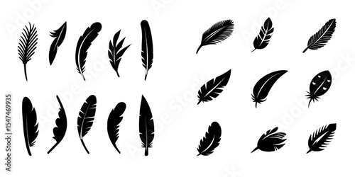 A set of bird feather icons is presented, featuring simple black and white symbols that showcase various feathers from bird wings in a flat, modern illustration style isolated on a white background