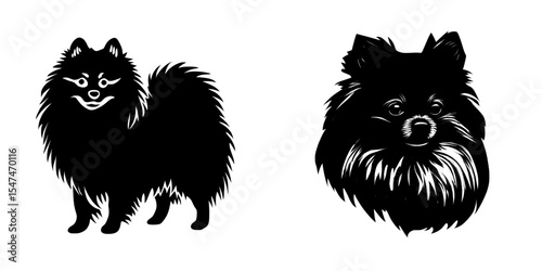 The modern portrait features a Pomeranian Dog isolated on white background accompanied by dog silhouettes
