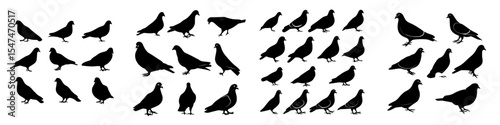 Modern illustration featuring pigeons silhouettes isolated on a white background
