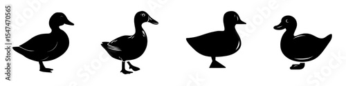 A modern minimal art illustration featuring a duck icon in silhouette style on a white background