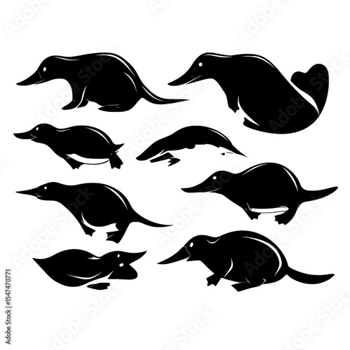 A modern illustration featuring variant styles of platypus silhouettes isolated on a white background