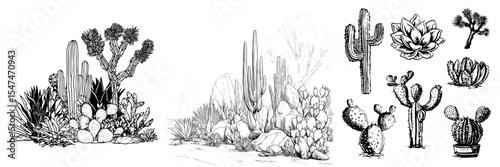 A big collection of black shapes illustrating cacti, agaves, a Joshua tree, and prickly pears