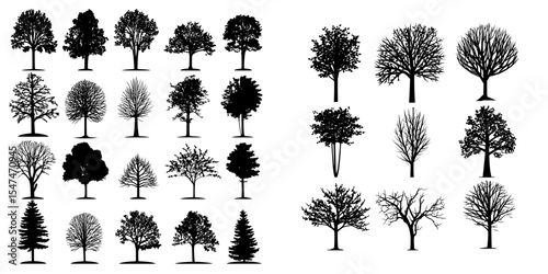 Deciduous tree forms of different kinds on a white background