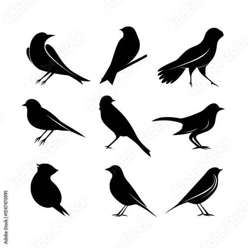 A white background features a modern file bundle with the silhouette of birds isolated