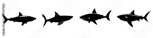 A shark silhouette is depicted in a modern illustration set against a white background