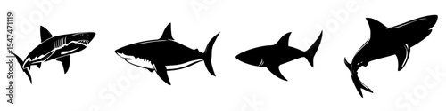 Modern shark illustration on a white background in isolation