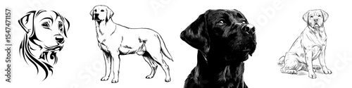 The modern design features a black line art dog with a simple and bold outline set against a white background as a modern icon for a pet animal