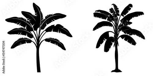 The silhouette of a banana tree serves as a modern symbol isolated on a white background