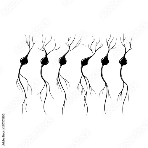 A set of silhouette black flat neuron cells with extended axons is depicted in a modern illustration
