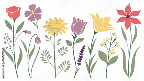 Colorful spring summer flowers set. Botanical floral collection. Various garden plants vector illustration design elements.