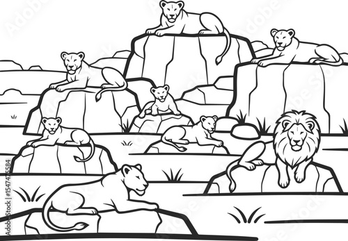 A large pride of lions on the rocks, lionesses and lion cubs resting on warm stones.
