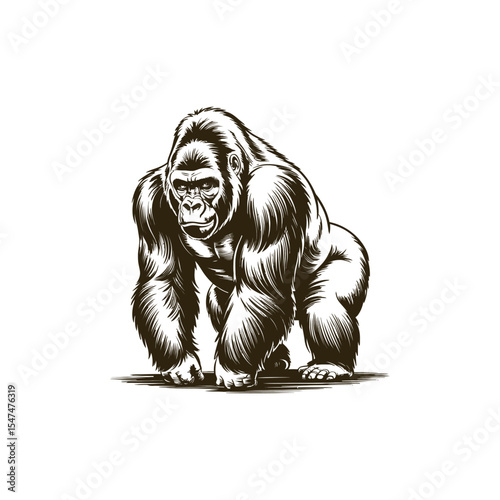 Vintage engraving woodcut gorilla vector illustration art design