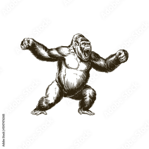 Vintage engraving woodcut gorilla vector illustration art design