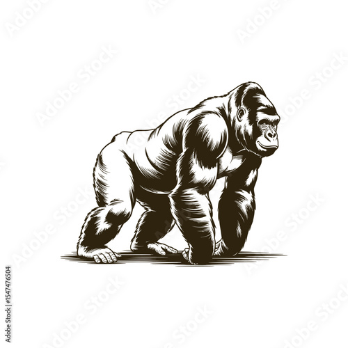 Vintage engraving woodcut gorilla vector illustration art design