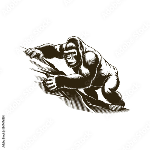 Vintage engraving woodcut gorilla vector illustration art design