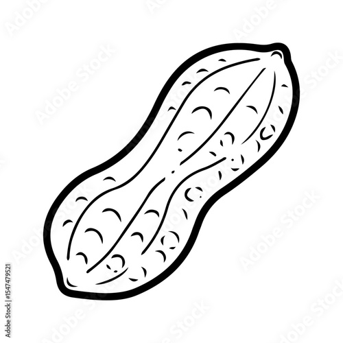 Peanut raw in skin. Hand drawn doodle vector. Ripe bean nut. Natural food. Organic ingredient. Grain seeds. Agricultural plant. Farm product. Illustration line art element.
