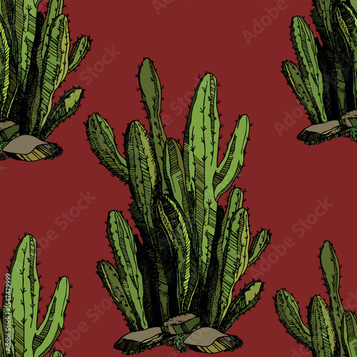 Seamless pattern with cacti, blooming succulent on color background. Vector hand drawn illustration for packaging, fabric, textile. Wild west cactus, western concept.