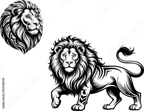  illustrations of a lion. One shows a lion's head. The other is a full body depiction of a walking lion.