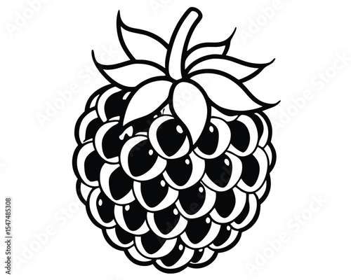 Vector illustration of a black and white blackberry fruit isolated on white background.