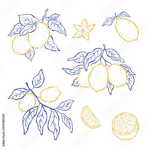 Set design elements of lemon fruits hanging on a branches on white background. Sketch italian style. Flat vector illustration. Mediterranean life. Ideal for card, poster, print, cover