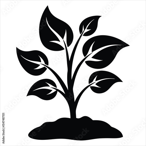 Vegetable silhouette, Black silhouette of vegetables, Black and white fruit and vegetable silhouette, Fruit silhouette vector collection on white background