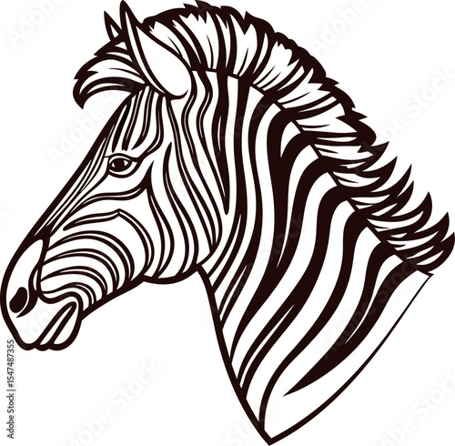 Hand drawn zebra head in black and white decorative stylized animal illustration with detailed stripes and mane lines