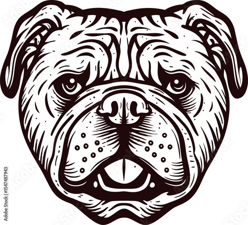 Detailed black and white illustration of a bulldog face with expressive eyes and textured fur in vintage engraved